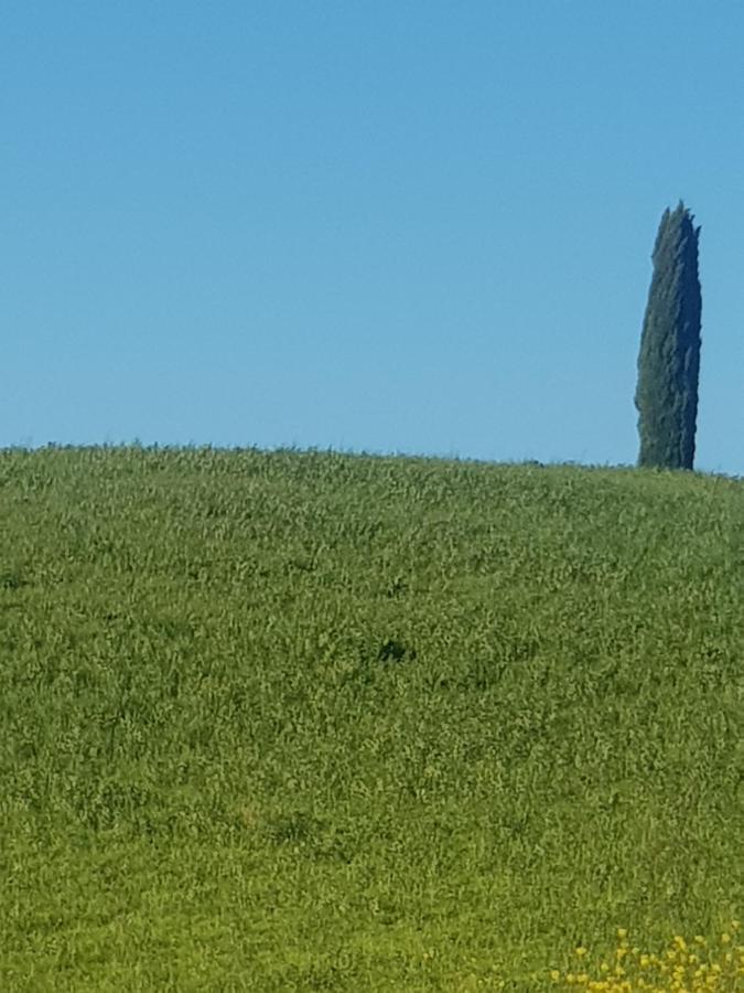 Casa Per L'Osticcio Vista Sulla Val D'Orcia Daire Montalcino Dış mekan fotoğraf