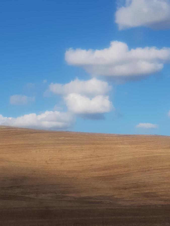 Casa Per L'Osticcio Vista Sulla Val D'Orcia Daire Montalcino Dış mekan fotoğraf