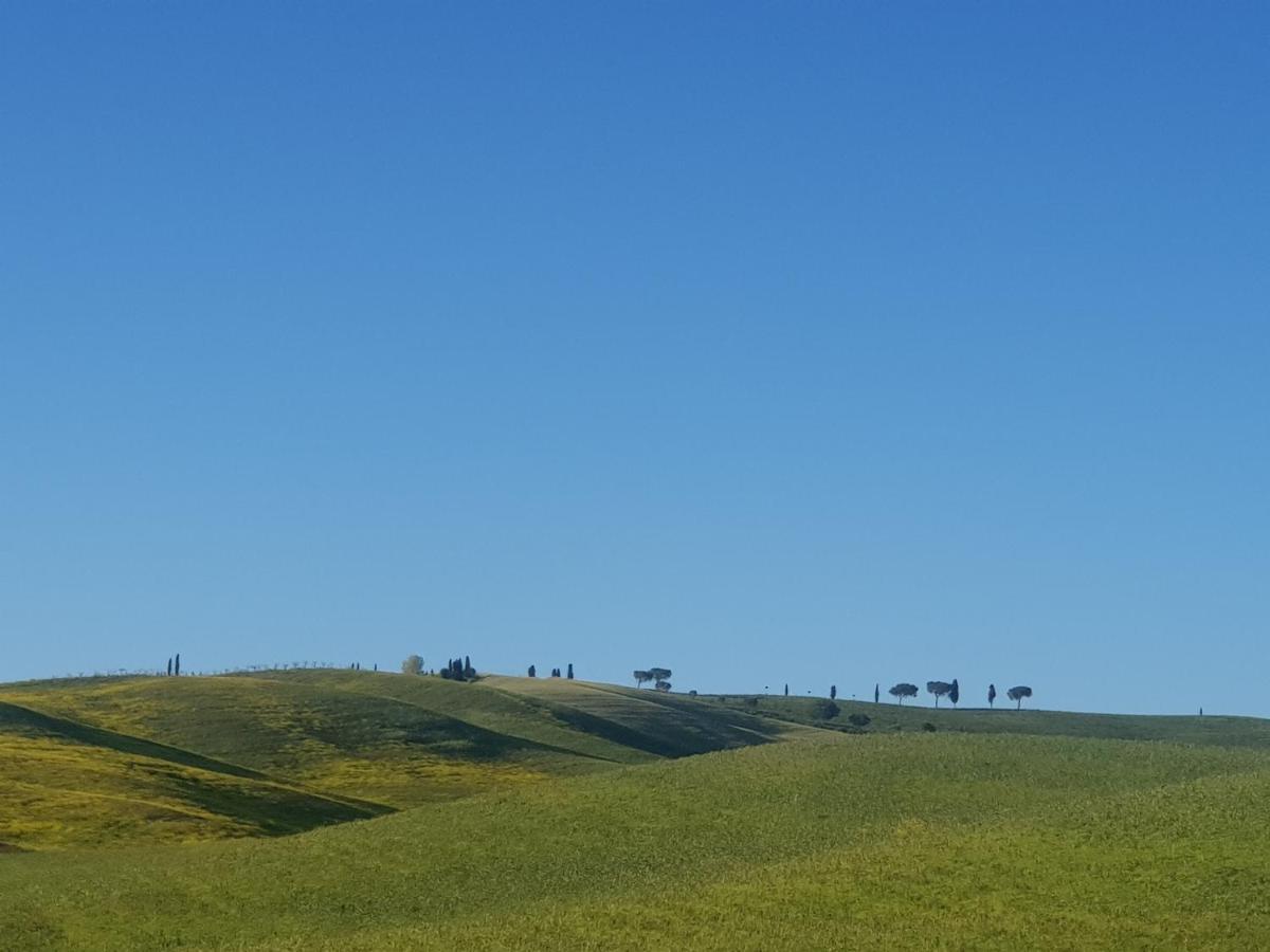 Casa Per L'Osticcio Vista Sulla Val D'Orcia Daire Montalcino Dış mekan fotoğraf