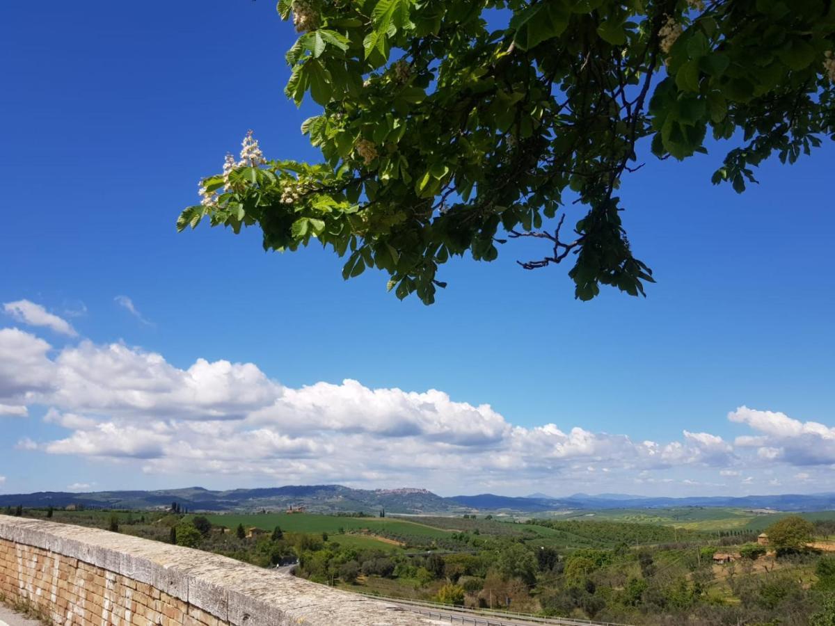 Casa Per L'Osticcio Vista Sulla Val D'Orcia Daire Montalcino Dış mekan fotoğraf