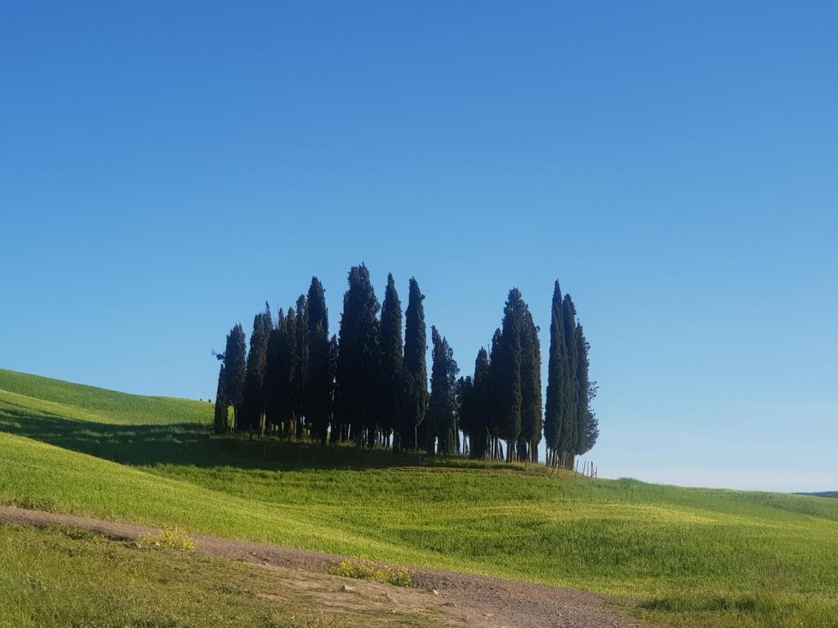 Casa Per L'Osticcio Vista Sulla Val D'Orcia Daire Montalcino Dış mekan fotoğraf