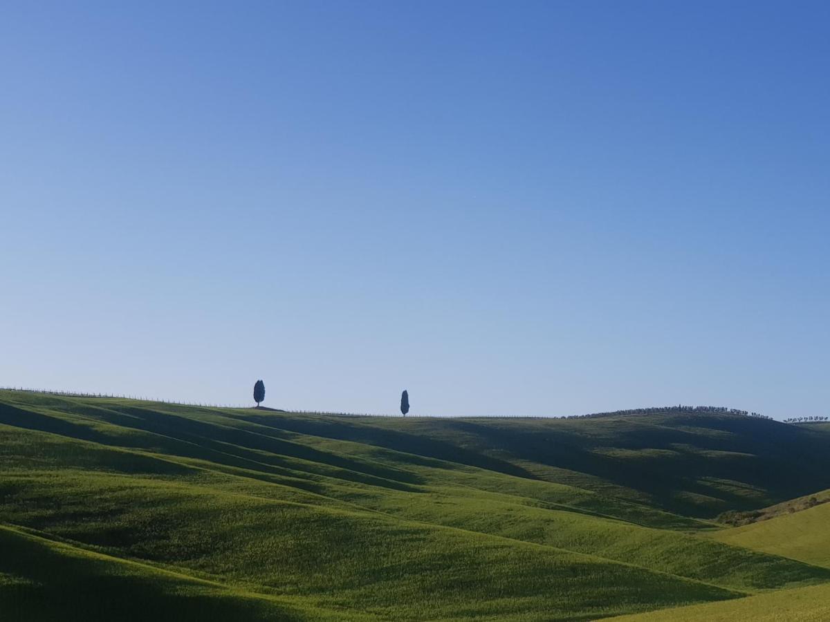 Casa Per L'Osticcio Vista Sulla Val D'Orcia Daire Montalcino Dış mekan fotoğraf