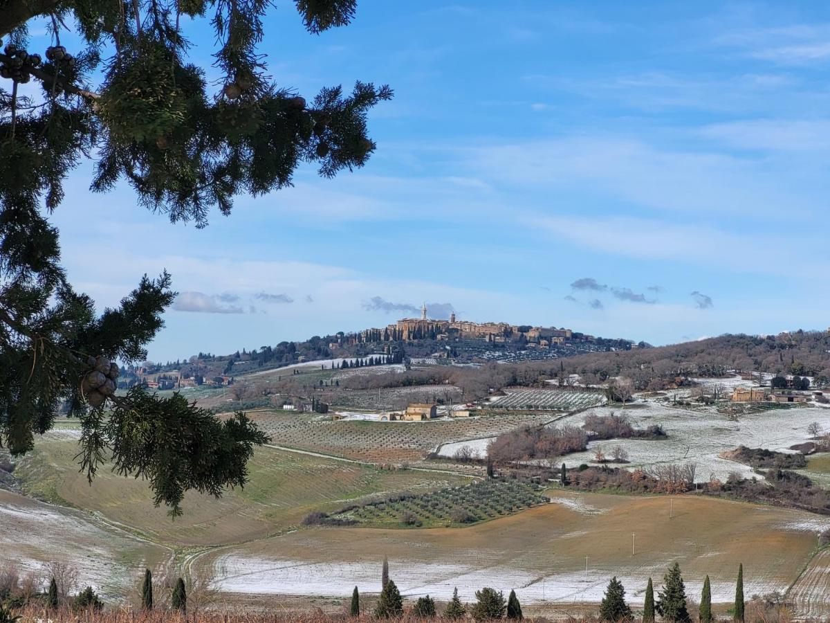 Casa Per L'Osticcio Vista Sulla Val D'Orcia Daire Montalcino Dış mekan fotoğraf