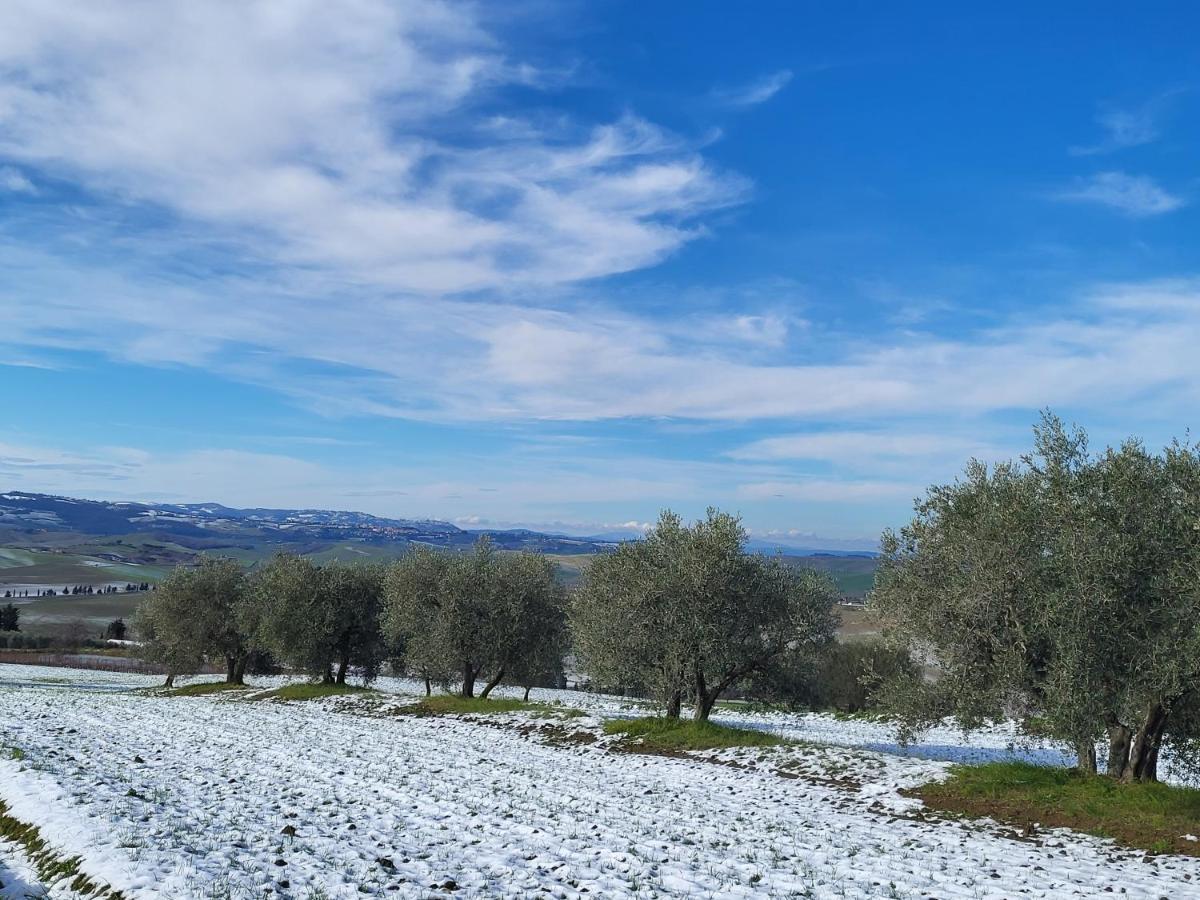 Casa Per L'Osticcio Vista Sulla Val D'Orcia Daire Montalcino Dış mekan fotoğraf