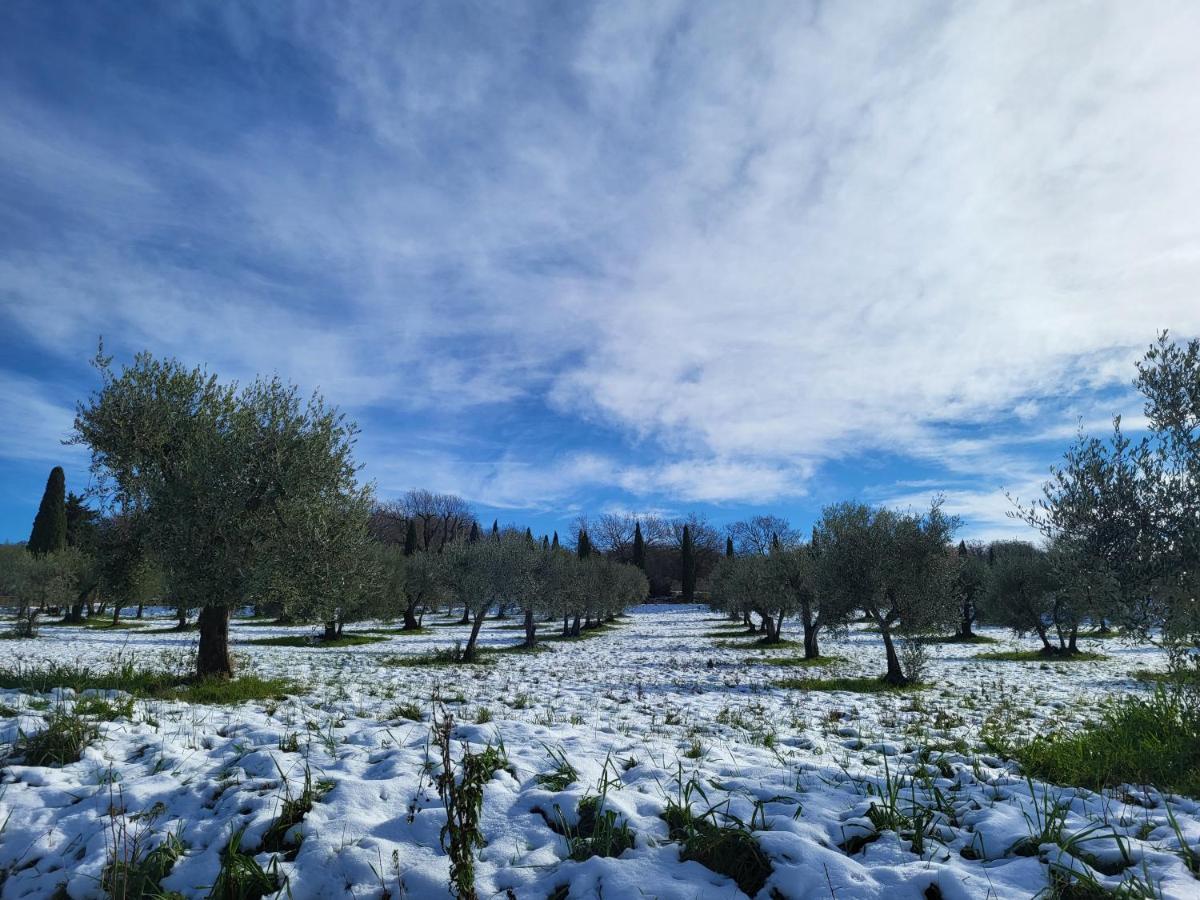 Casa Per L'Osticcio Vista Sulla Val D'Orcia Daire Montalcino Dış mekan fotoğraf